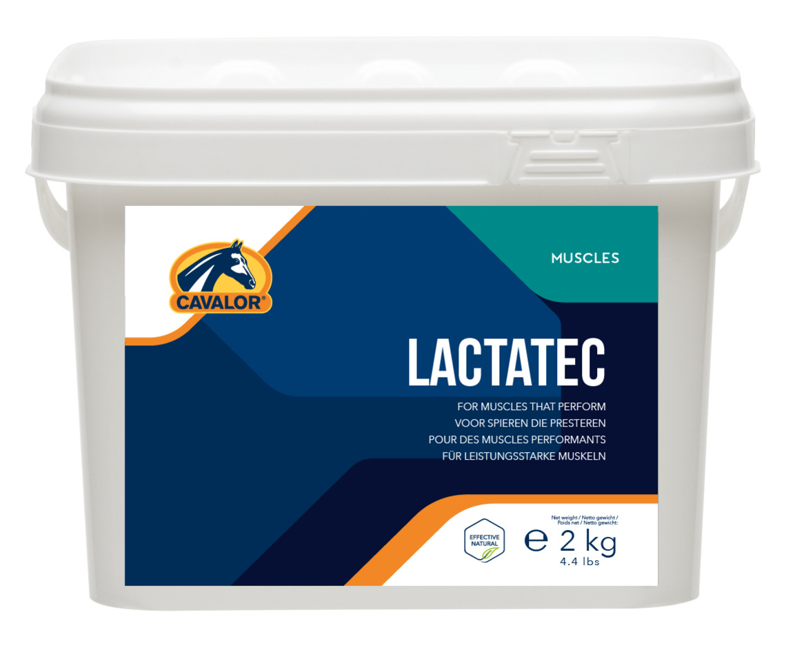 LACTATEC 2 KG