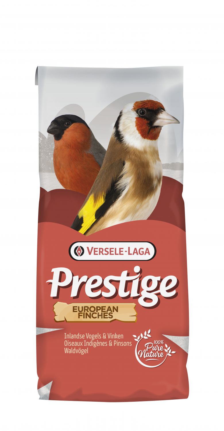 INLANDSE VOGELS