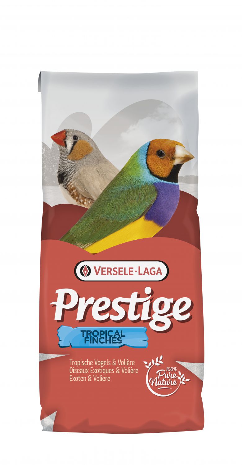 TROPISCHE VOGELS