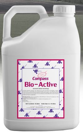 IN TIME COMPASS BIO ACTIVE