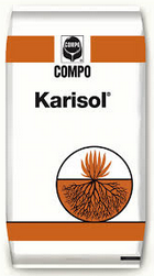 KARISOL