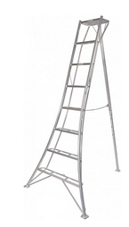 VULTUR LADDER STANDARD - 180 CM