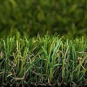 PROXYGRASS LOOK SENSUEL
