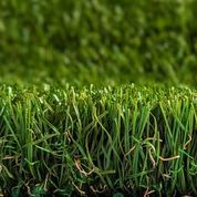 PROXYGRASS LOOK SENSUAL DELUXE