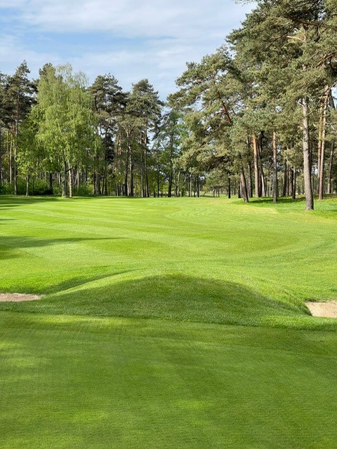 Golfterrein in Antwerpen - mooie pelouse