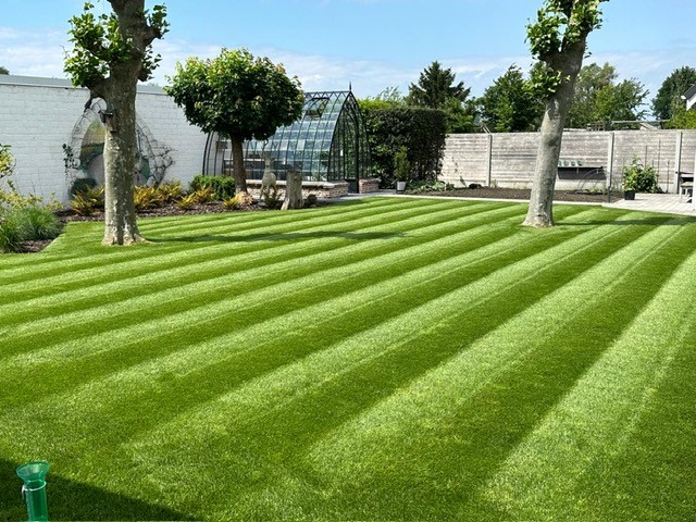 eindresultaat nieuwe grasmat met perfect gazon