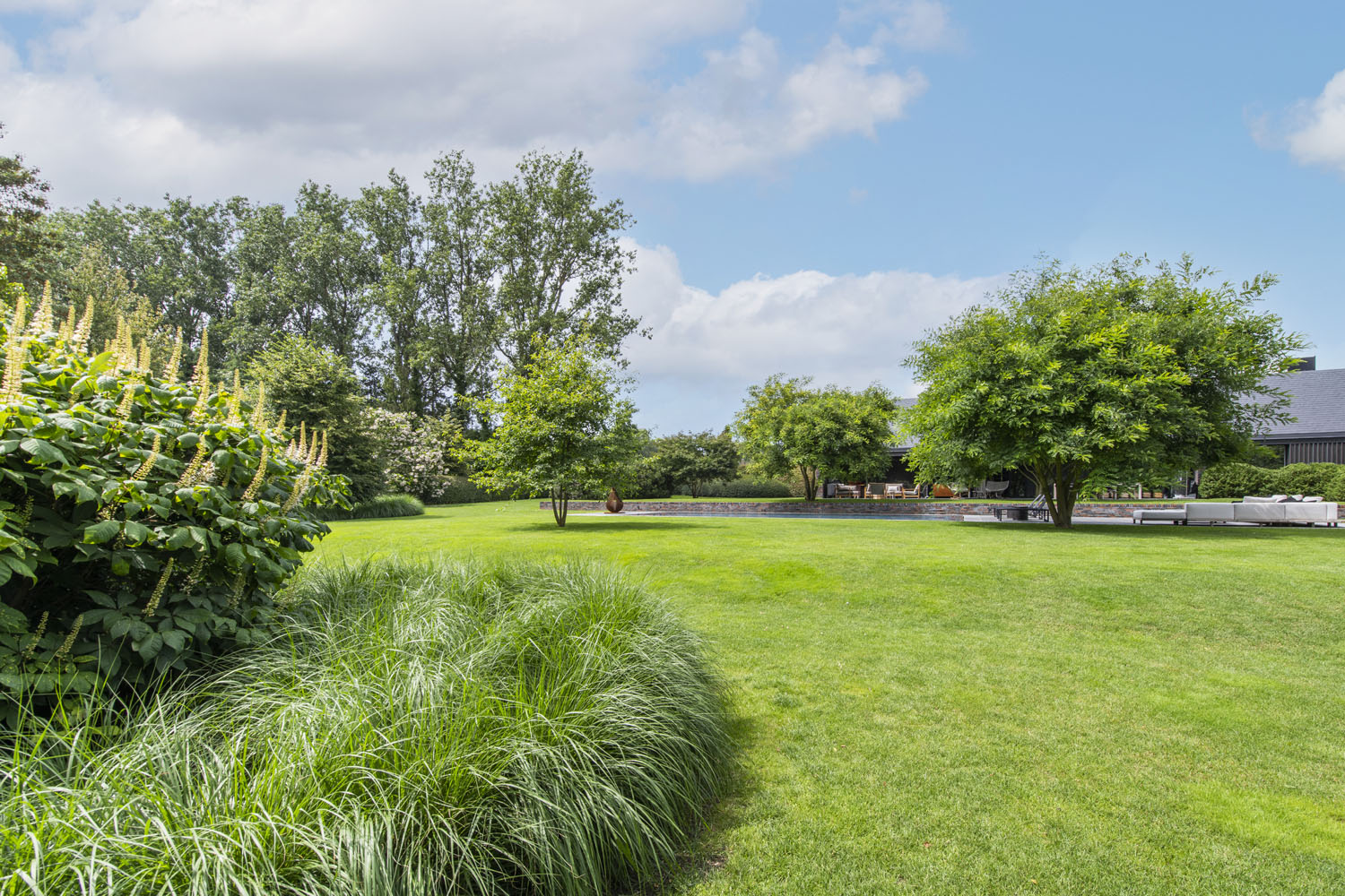 mooie dichte grasmat na aanleg door specialist