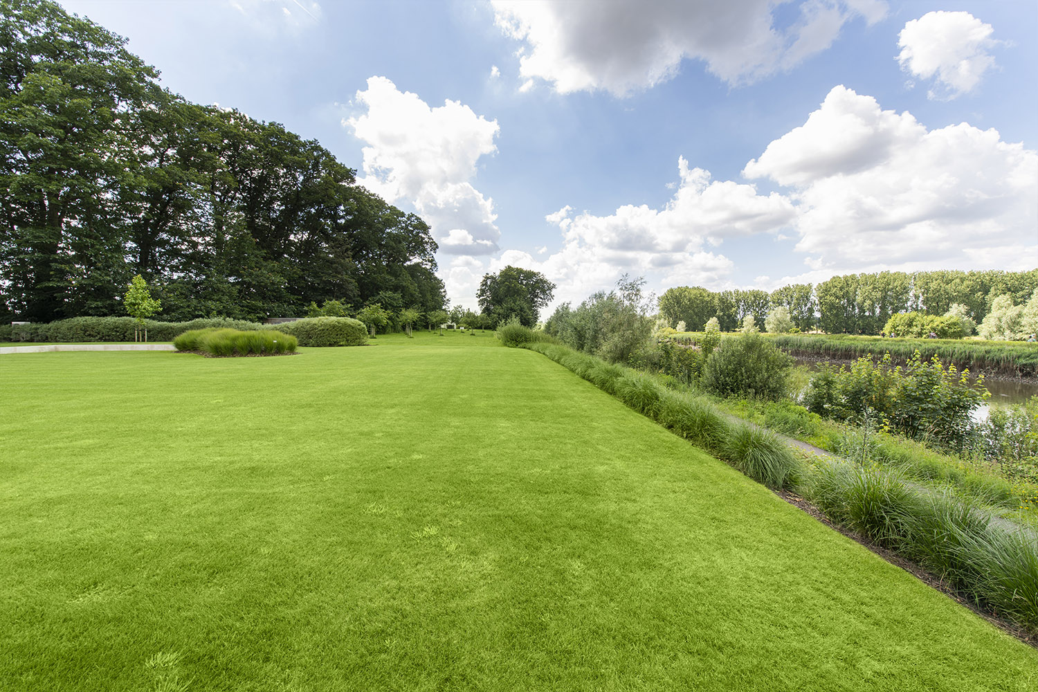 professionele aanleg grasmat in tuin Antwerpen