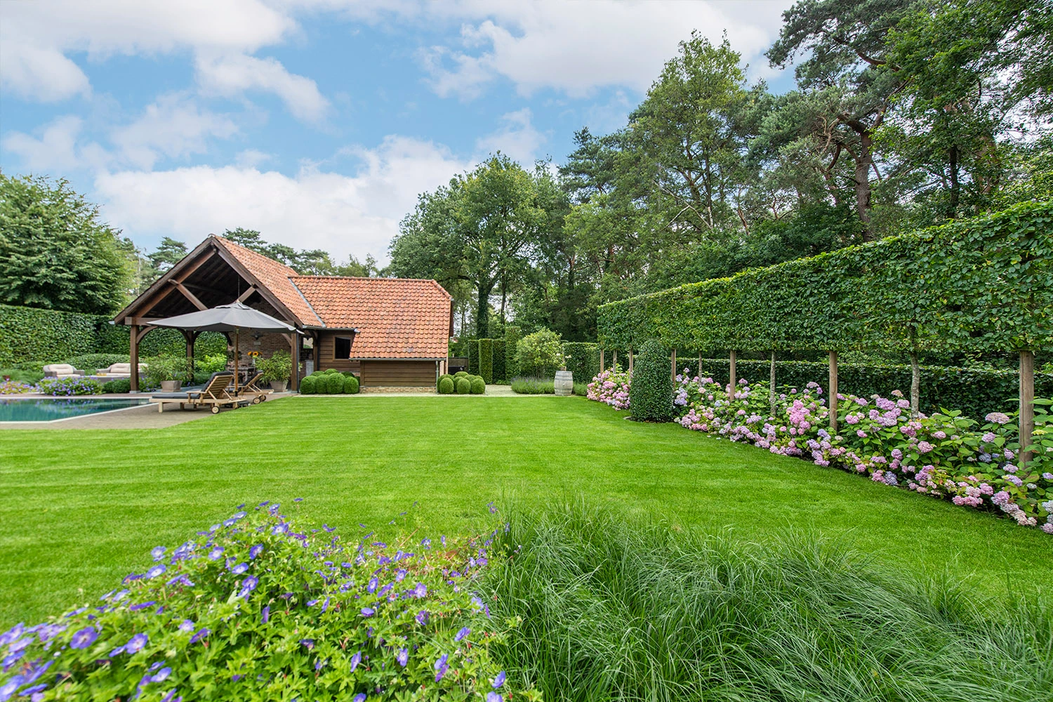 professioneel gazon aangelegd Antwerpen