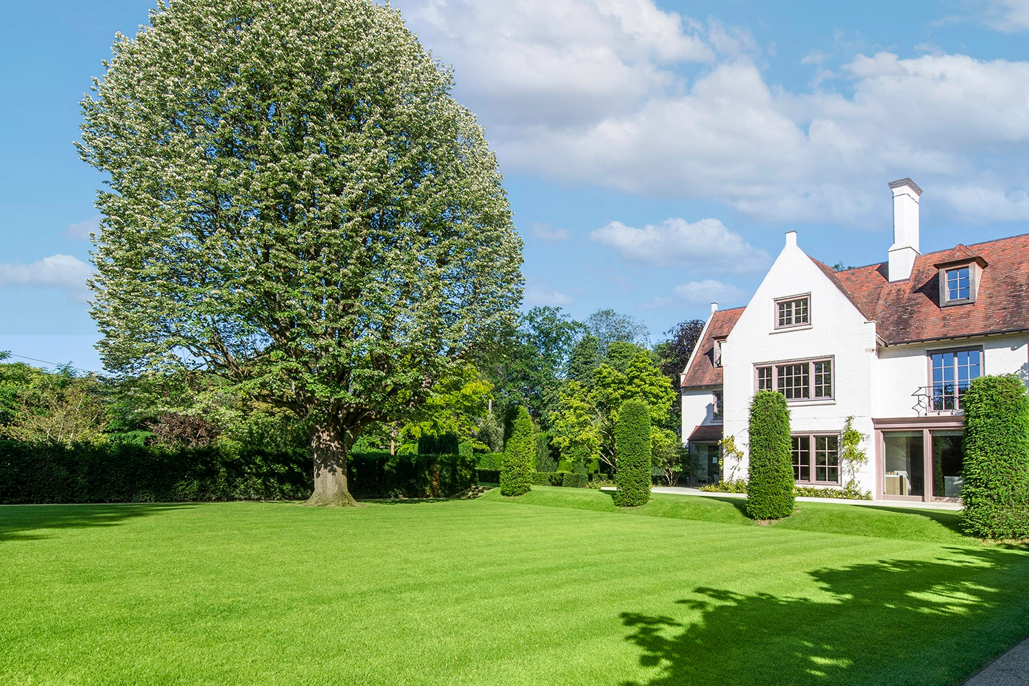 perfecte grasmat na professionele aanleg in tuin