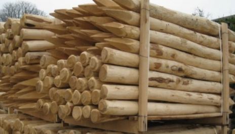 [RO-D6/180] ROBINIA (acacia) PAAL (180 CM)