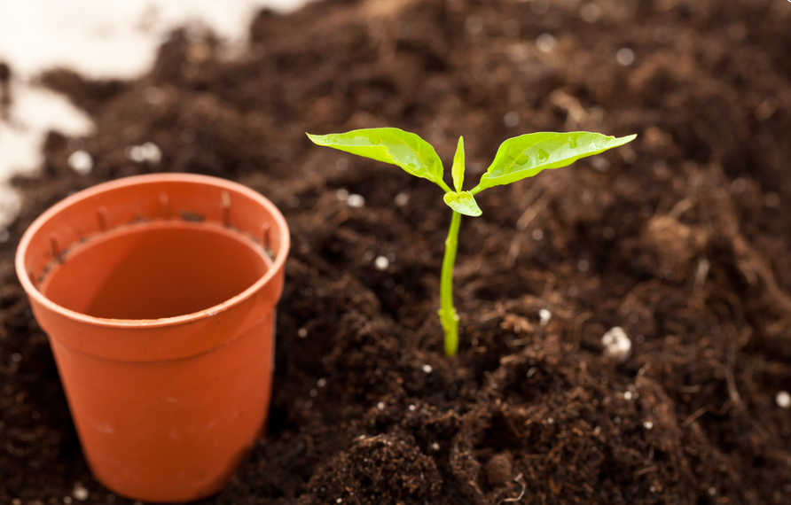 UNIVERSELE POTGROND IN BULK = 0.5 M³