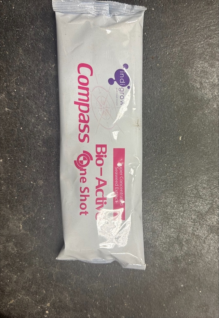 [ITCBAOSH] IN TIME COMPASS BIO ACTIVE ONE SHOT / ST