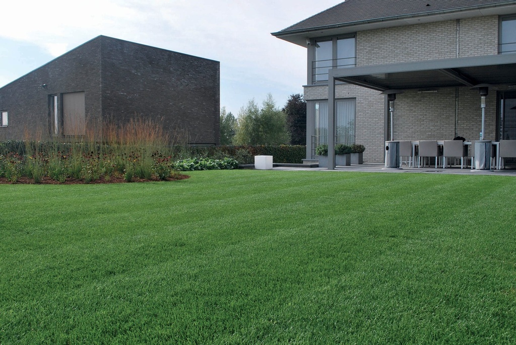 [PRST10] PRESTO + HEADSTART ADVANCE - 10 KG