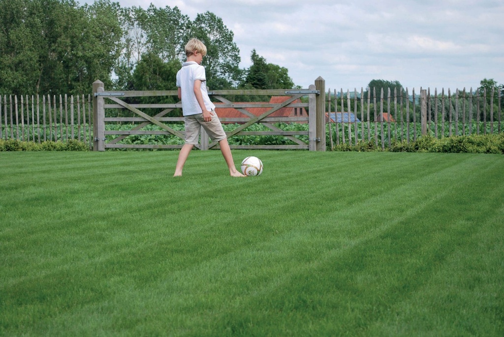 [SPSP10] SUPER SPORTA + HEADSTART ADVANCE - 10 KG