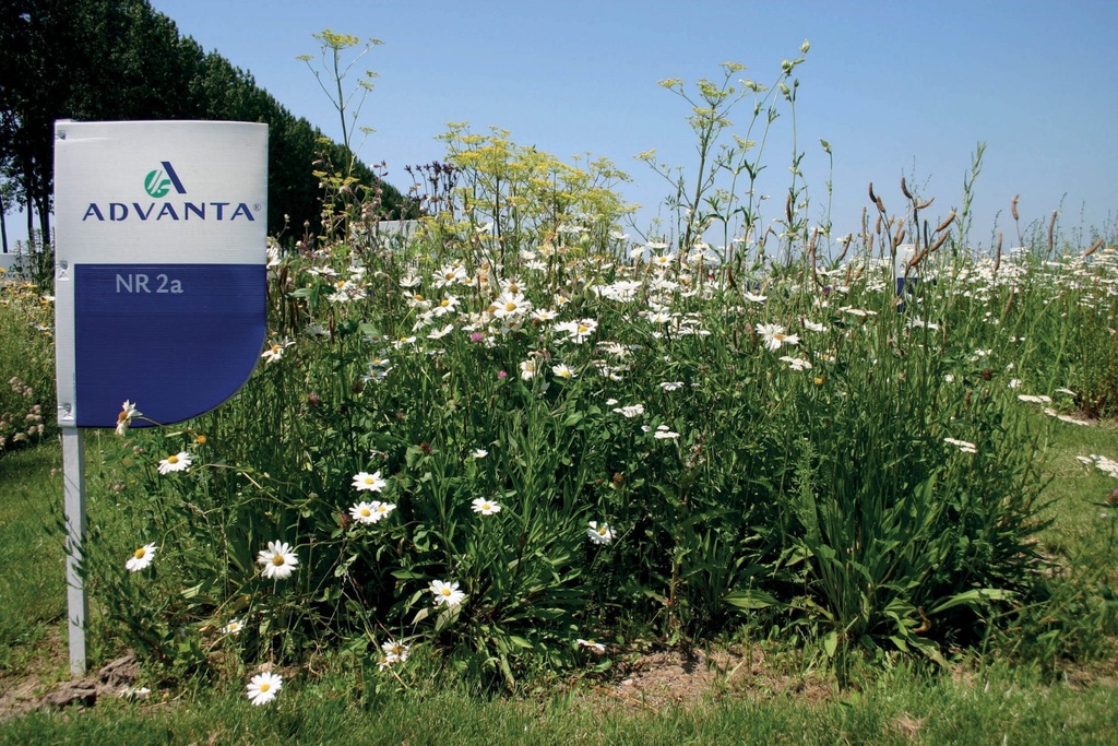 KRUIDENWEIDE 2 ZWARE GRONDEN