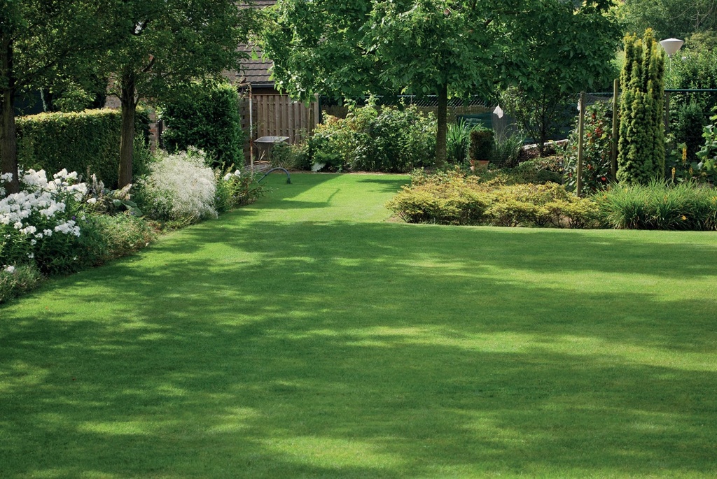 [PRSL1] PARASOL (1 KG)