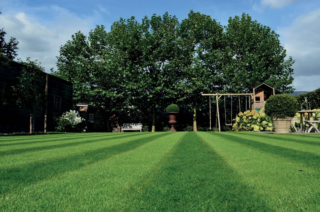 [VRSL1] VERSAILLES+HEADSTART ADVANCE (1 KG)