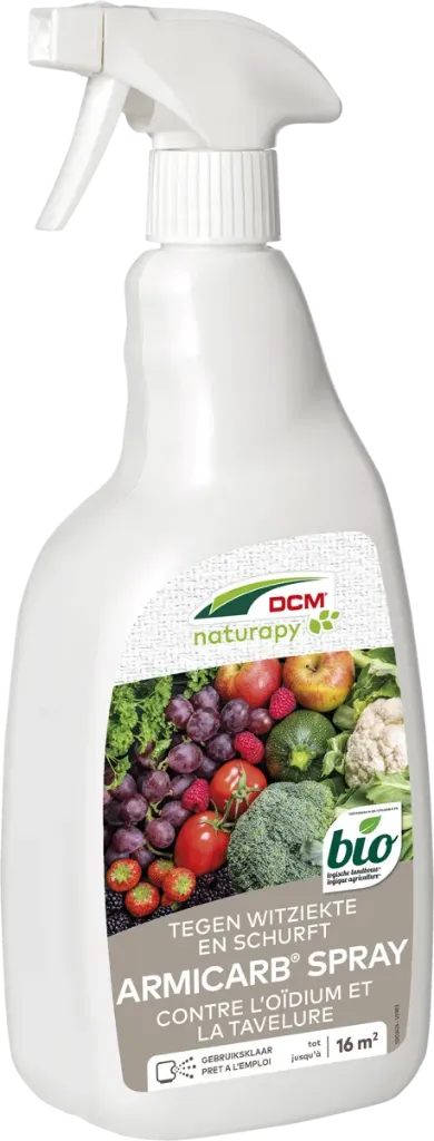 DCM ARMICARB SPRAY MOESTUIN 1L