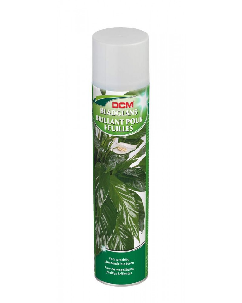 [DCMBLDGL400] DCM BLADGLANS 400 ML