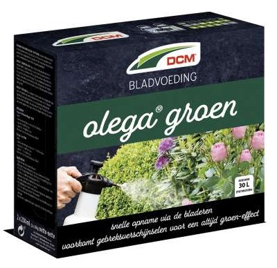 DCM BLADV OLEGA GROEN 500 ML