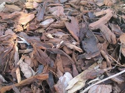 DCM ECOR 1/ECO-MIX 1 (NPK 9-5-3) - 25 KG