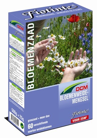 [DCMFTNT] DCM FIOTINTE - 525 GR