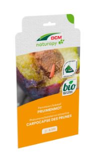 [1003205] DCM GRAPHO-PHEROMONE