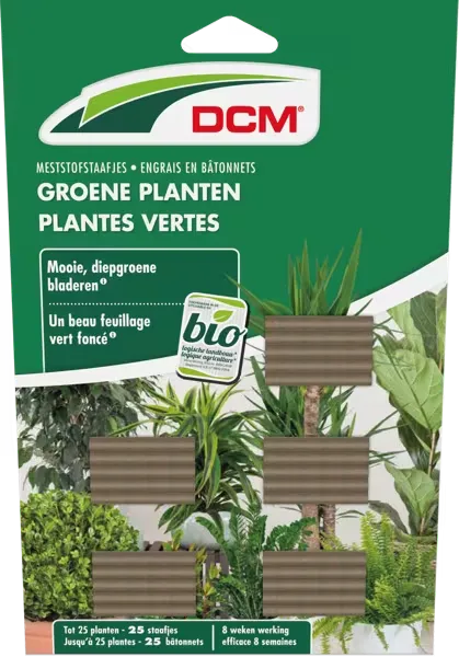 [DCM1002834] DCM STAAF GROEN PLANT