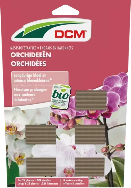 [1002832] DCM STAAF ORCHIDEEEN