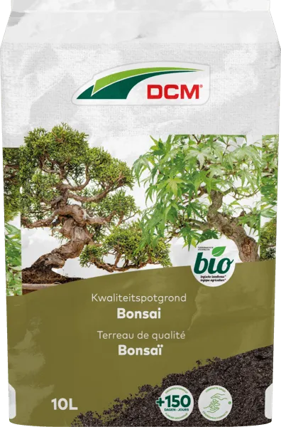 DCM POTGR BONSAI
