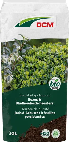 DCM POTGR BUXUS/BL HEES BIO