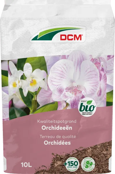 DCM POTGR ORCHIDEEEN