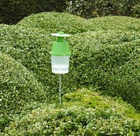 [64190] 2 FEROMOONVALLEN BUXUSMOT