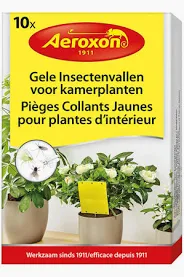 AER INSECTENVALLEN VOOR KAMERPLANTEN 10 ST.