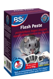 [64056] BSI FLASH PASTA (12 x 10 GR)
