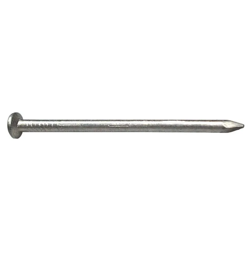 [1-8100-1525] IJZEREN NAGELS PLATTE KOP (1.5 X 25 MM)