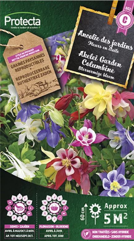 [SE-CON-00056] AKELEI GARDEN COLUMBINE