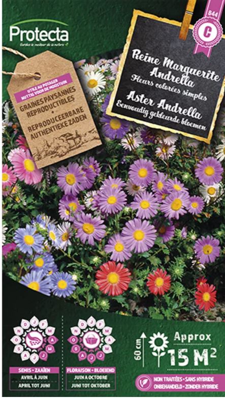 ASTER ANDRELLA GEMENGD