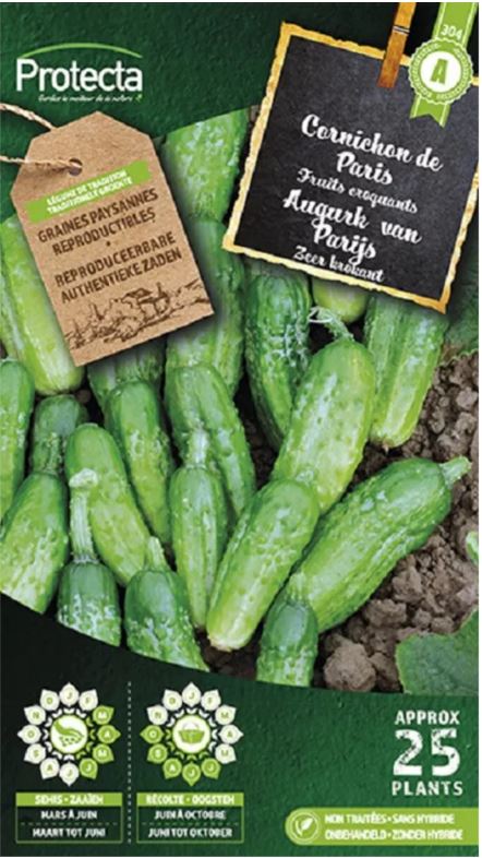 [SE-POT-00067] AUGURK KLEINE GROENE VAN PARIJS