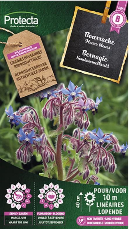 BERNAGIE (KOMKOMMERKRUID)