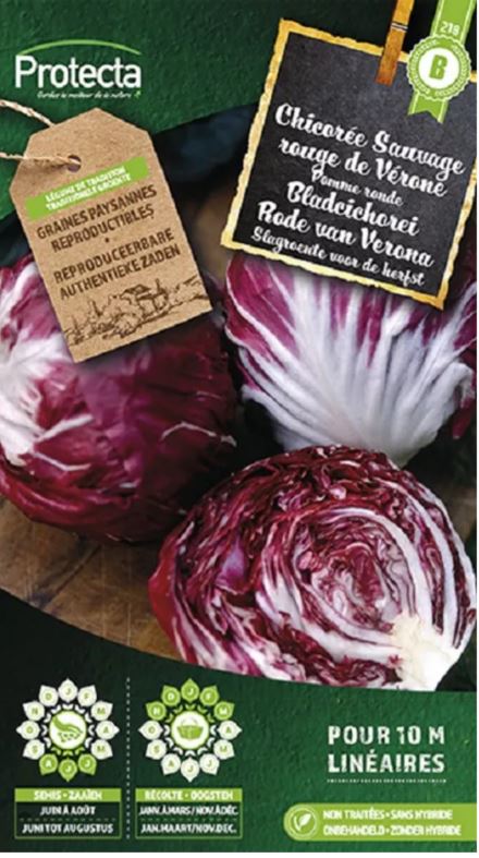 [SE-POT-00041] BLADCICHOREI RODE VAN VERONA