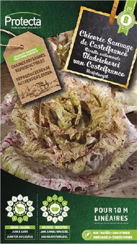 [SE-POT-00040] BLADCICHOREI VAN CASTELFRANCO