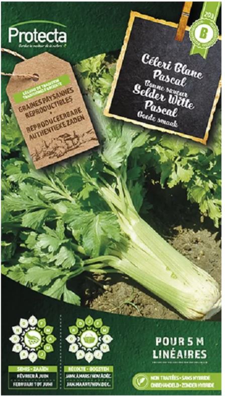 [SE-POT-00031] BLEEKSELDER  "WITTE PASCAL"