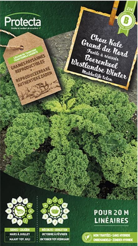 [SE-POT-00050] BOERENKOOL WESTLANDSE WINTER