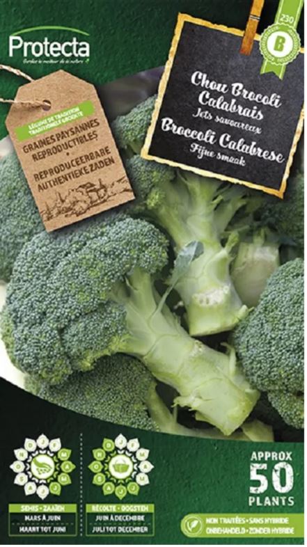 [SE-POT-00046] BROCCOLI GROENE CALABRESE