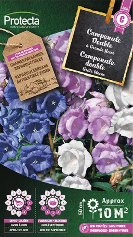[SE-CON-00060] CAMPANULA DUBBEL GEMENGD