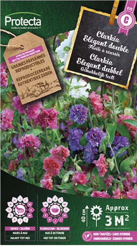 CLARKIA ELEGANT DUBBEL GEMENGD