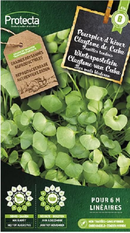 [SE-POT-00165] CLAYTONE VAN CUBA. WINTERPOSTELEIN