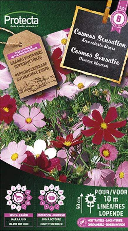 [SE-CON-00027] COSMOS SENSATIE GEMENGD